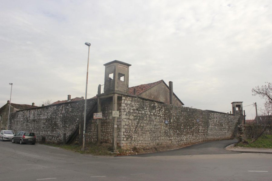 aapicture201501114260944web