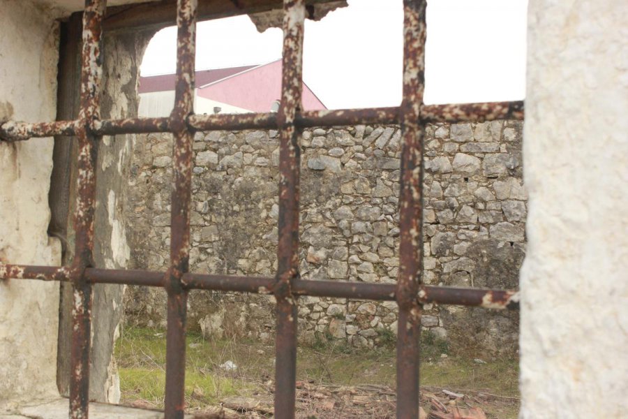 aapicture201501114260949web