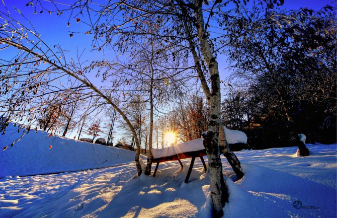 Mojkovac: 28. januara izložba fotografija Nikole Zindovića