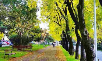 Bulevar Svetog Petra Cetinjskog u Podgorici među 50 najljepših ulica svijeta