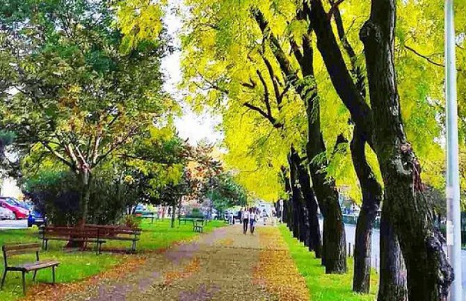 Bulevar Svetog Petra Cetinjskog u Podgorici među 50 najljepših ulica svijeta