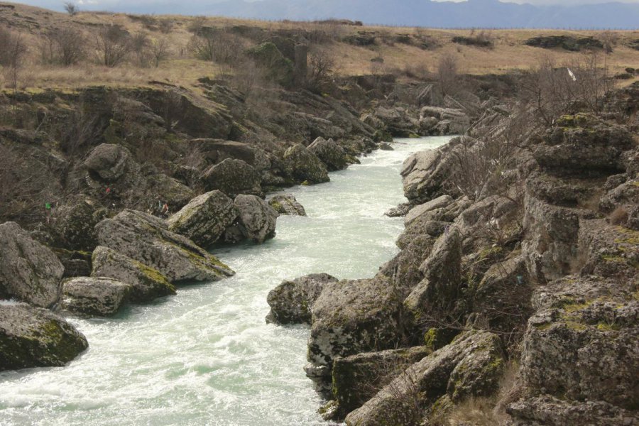 aapicture201502084487983web