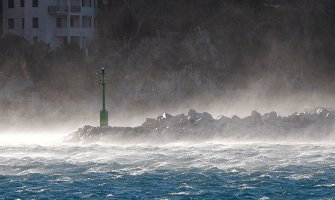 Hrvatska: Oluja čupala stabla na primorju