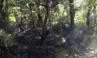 Danas su izbila tri požara za tri sata