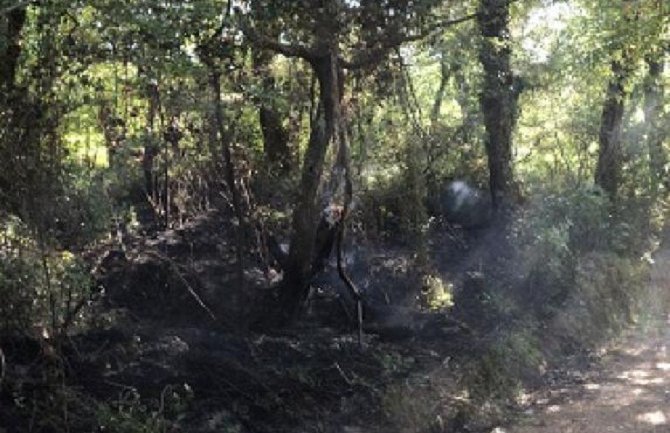 Danas su izbila tri požara za tri sata