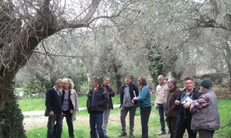 Edukacija maslinara u Petrovcu