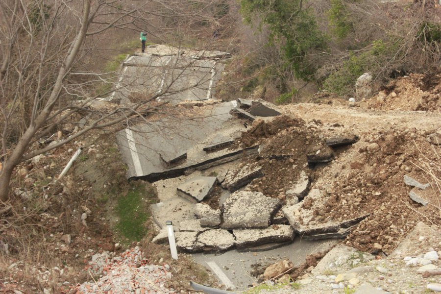 aapicture201503114750896web