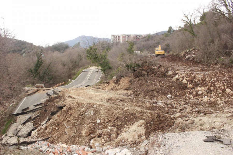 aapicture201503114750899web