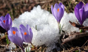 Danas počinje proljeće