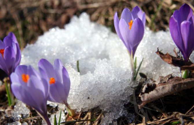 Danas počinje proljeće