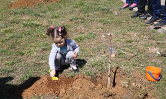 Ivanović: Trećina stanovništva u direktnoj zavisnosti od šumskih resursa