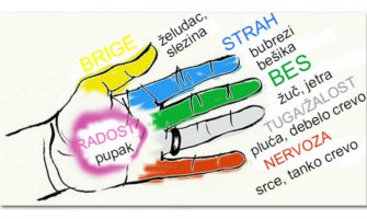 Prsti na rukama neraskidivo su povezani sa organima našeg tijela