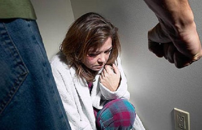 Prošle godine ukupno 1.249 prijava zbog nasilja u porodici