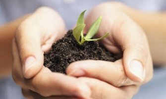 2015 - godina zemljišta: Nema bogate poljoprivrede bez bogatog zemljišta