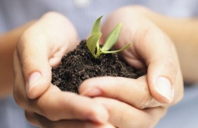 2015 - godina zemljišta: Nema bogate poljoprivrede bez bogatog zemljišta