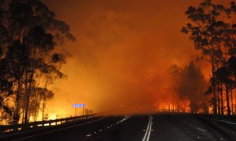 Šumski požar prijeti stotinama domova, naređena evakuacija (Video)