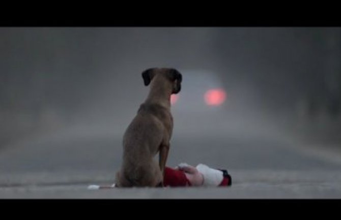 Nakon ovog snimka ćete shvatiti da pas NIJE igračka! (VIDEO)