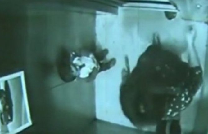 Dvogodišnjak gurnuo majku u okno lifta, ona umrla na mjestu