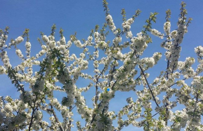 Pretežno sunčano, do 28 stepeni