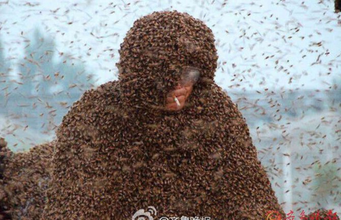 Kinez četiri i po sata bio prekriven s više od milion pčela