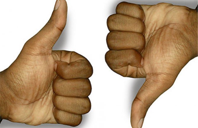 IA: Građani sa sjevera i Srbi najkritičniji prema radu državnih organa