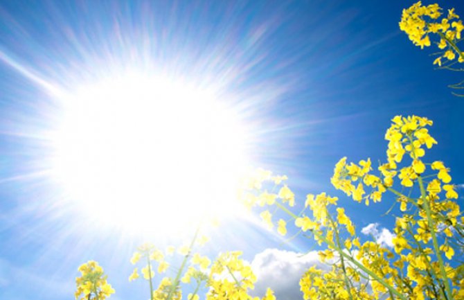 I sjutra sunčano i veoma toplo