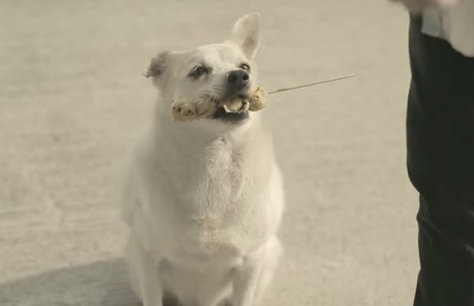 Samo jedan čin ljubaznosti može izazvati mnogo dobra(VIDEO)