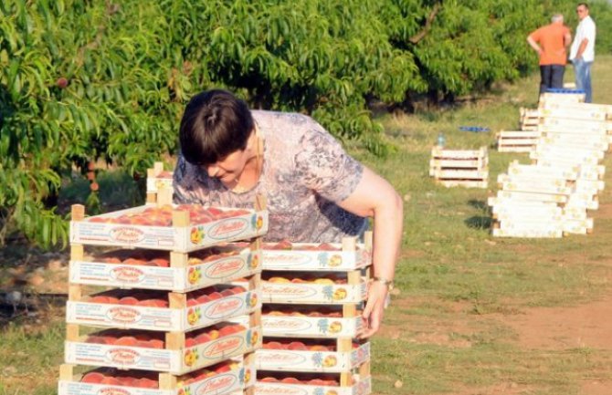 Ministarka brala besplatno, sezonci neće dobiti ni cent