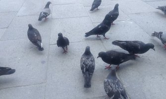 Danas sunčano i veoma toplo