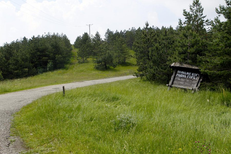 aapicture201506155627085web