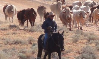 Prodaje se najveće privatno zemljište na svijetu