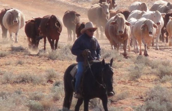 Prodaje se najveće privatno zemljište na svijetu