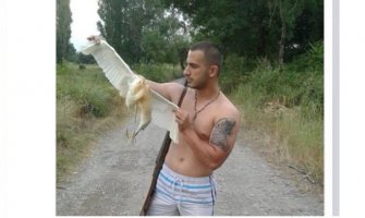 Krivična prijava zbog lova na zaštićenu vrstu ptica