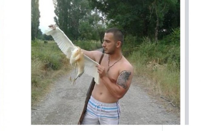 Krivična prijava zbog lova na zaštićenu vrstu ptica