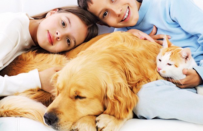 Promocija udomljavanja napuštenih kućnih ljubimaca 1. jula