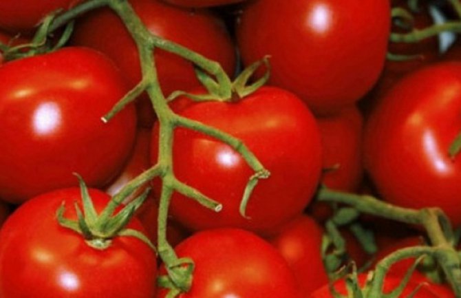 U Makedoniji 10 kg paradajza jedan evro!