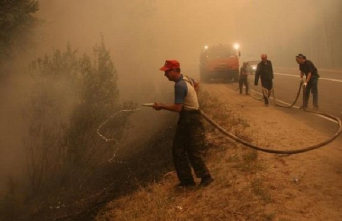 Požar na Dajbabskoj gori lokalizovan