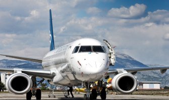 Pčela poremetila plan leta aviona!