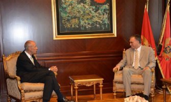 Vujanović - Gari:  Zaštita intelektualne svojine