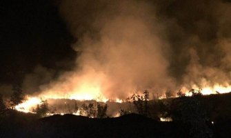 Gorjelo na sve strane, vatrogasci imali pune ruke posla!