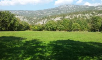 Kinezi zakupili zemlju u Bjelopavlićima