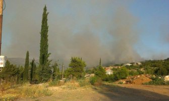 Podgorica: Na Malom brdu gori trava i sitno rastinje