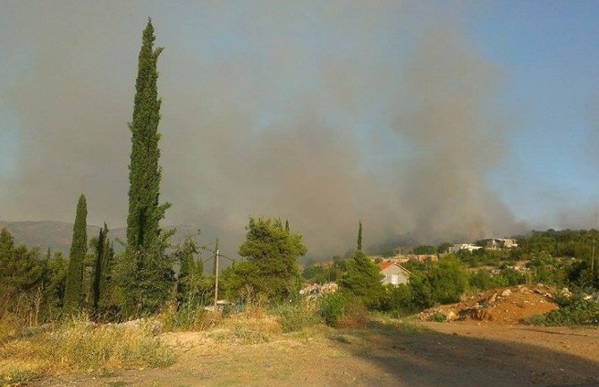 Podgorica: Na Malom brdu gori trava i sitno rastinje