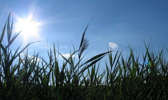 Sunčano i veoma toplo, do 37 stepeni