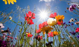 Do subote sunčano i veoma toplo