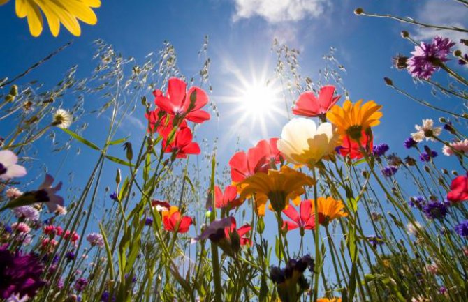 Do subote sunčano i veoma toplo