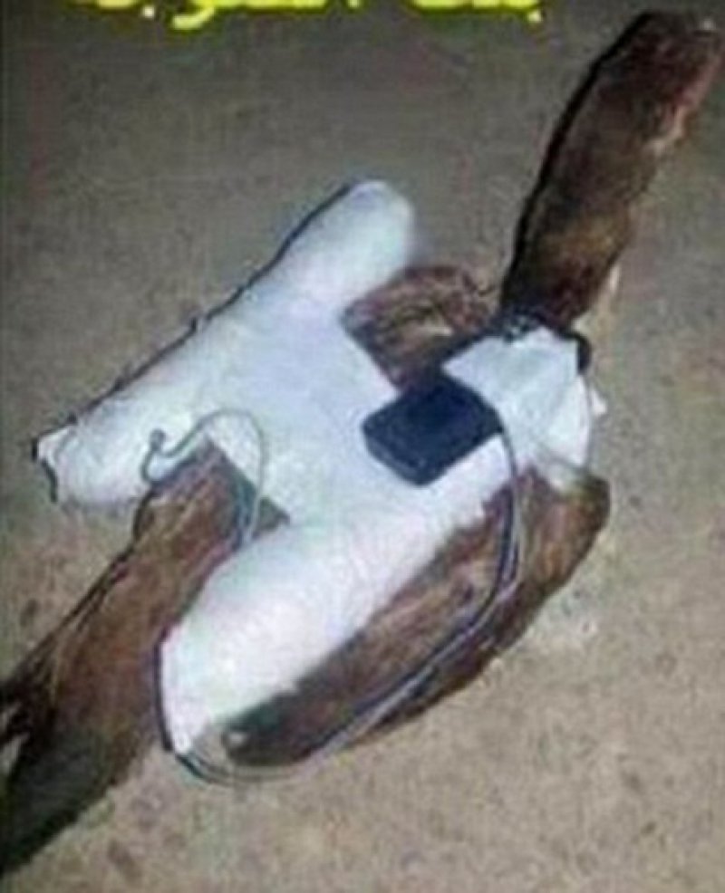 643469kokoskabomba2ff