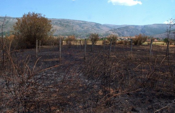  U požarima nestaju hercegovački vinogradi i voćnjaci