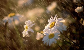 Danas do 35°C, u kontinentalnim predjelima popodne pljusak 