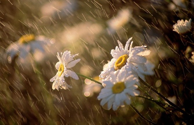 Danas do 35°C, u kontinentalnim predjelima popodne pljusak 